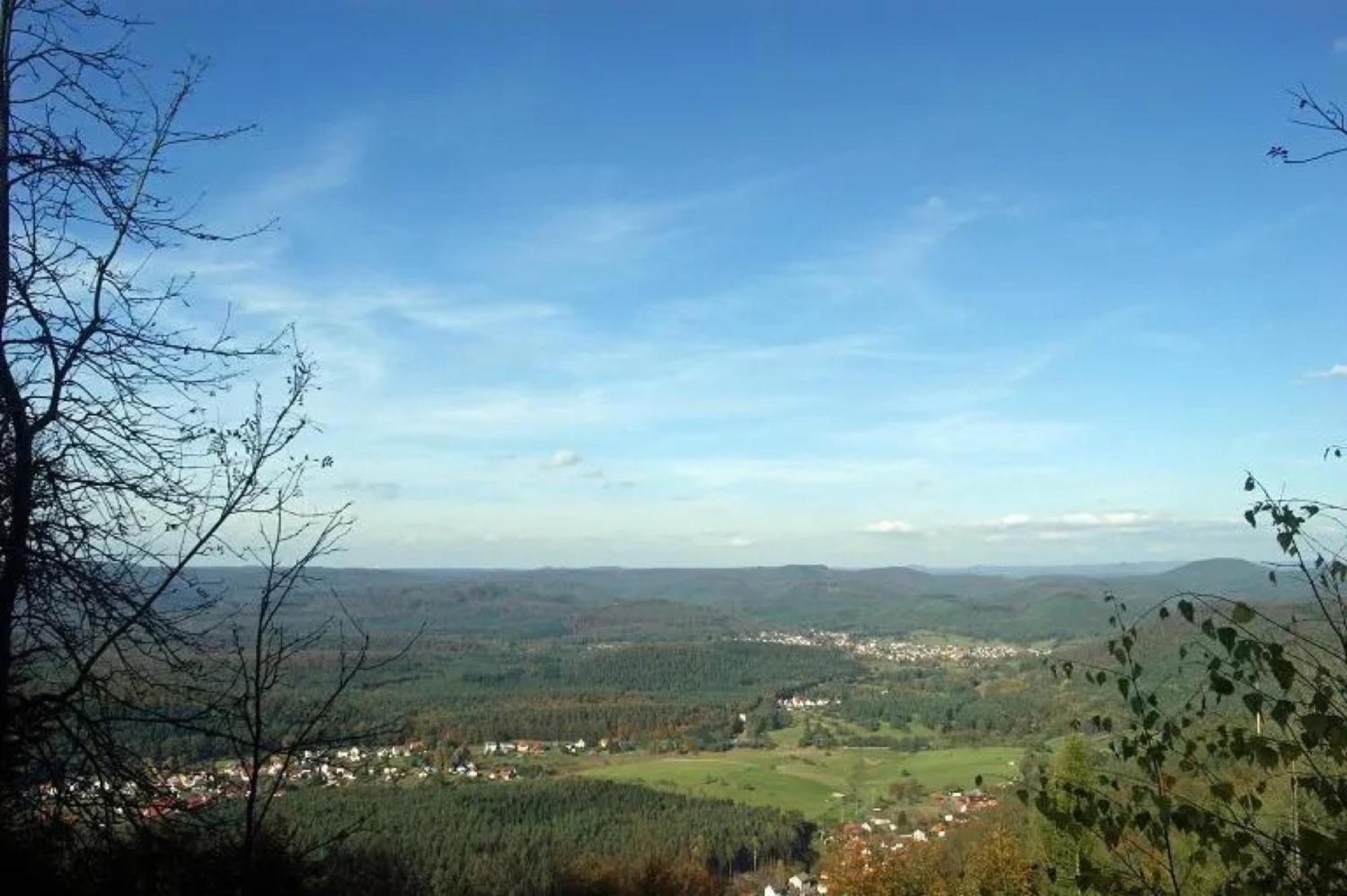Ferienwohnungen 'Blick Zur Madonna' Fischbach bei Dahn Bagian luar foto