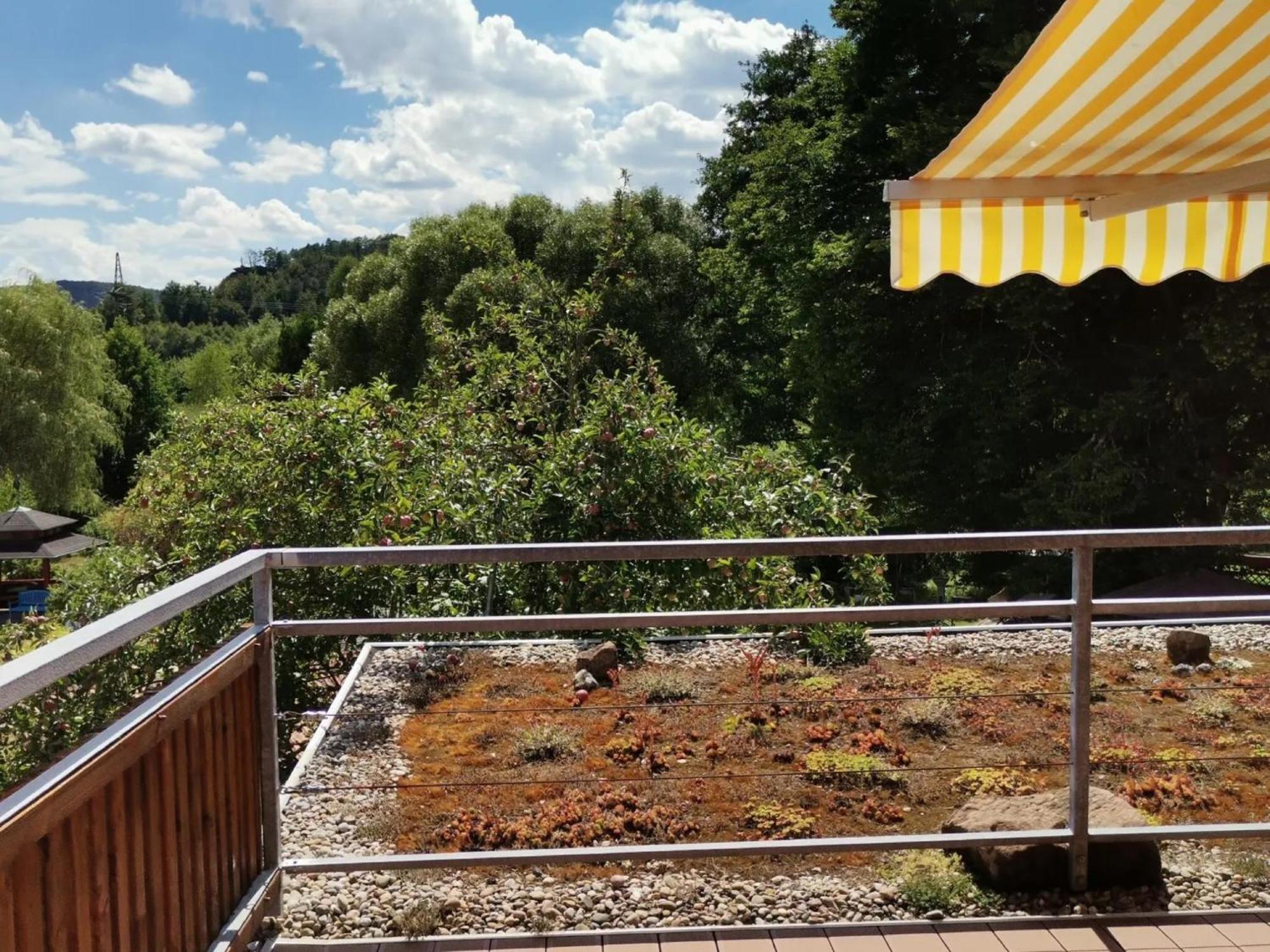 Ferienwohnungen 'Blick Zur Madonna' Fischbach bei Dahn Bagian luar foto